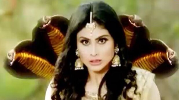 नाग-नागिन का महामिलन