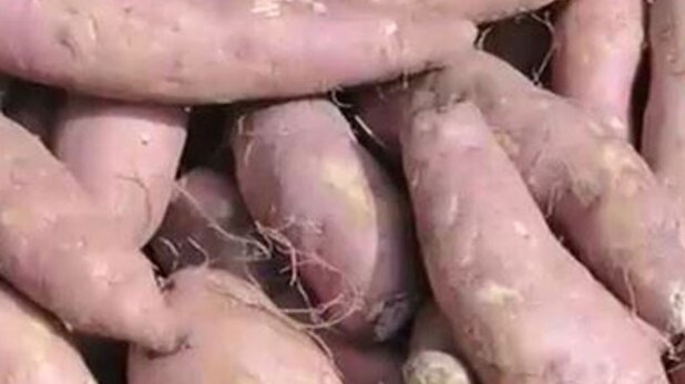 जानिए शकरकंदी खाने के बेजोड़ फायदे