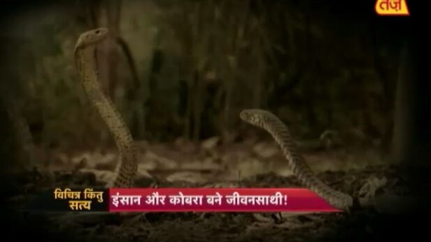 विचित्र किंतु सत्य