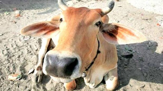 नोटबंदी के बाद गुजरात में गोबरबंदी