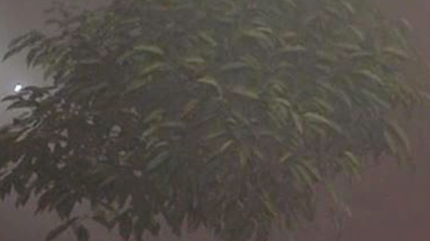 उत्तर-भारत में छाया घना कोहरा