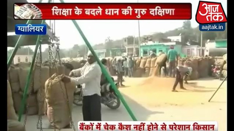 कैश के बदले धान