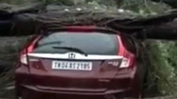 स्पेशल रिपोर्ट