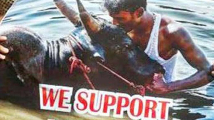 जलीकट्टू