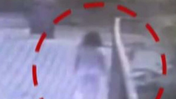 जब आवारा कुत्तों ने एक्ट्रेस पर किया हमला