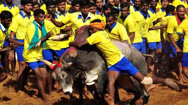 हल्लाबोल