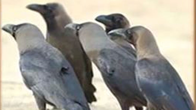 संजय सिन्हा की कहानी