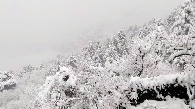 11 सैनिक हुए शहीद