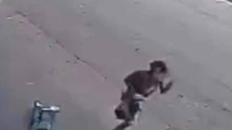 सिर्फ 4 सेकेंड की टक्कर का दर्दनाक वीडियो