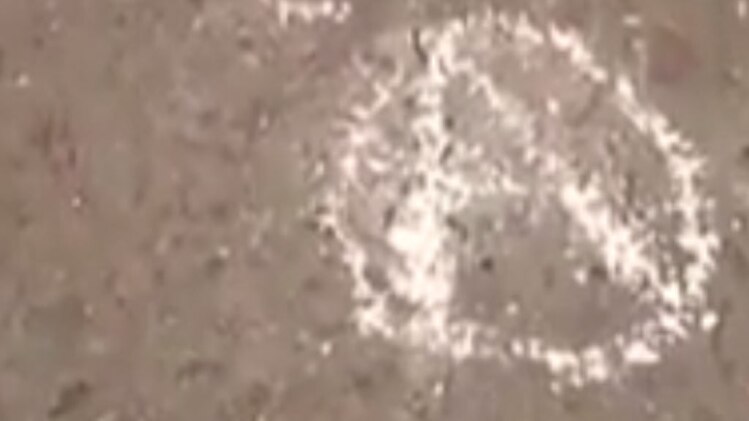 दिल्ली में हत्या