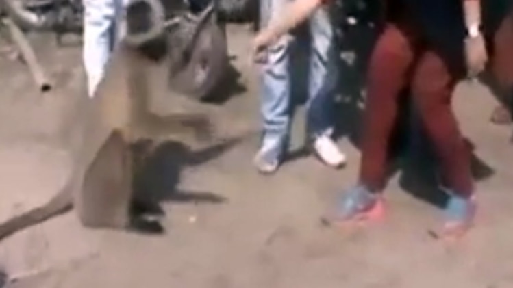 यूपी चुनाव