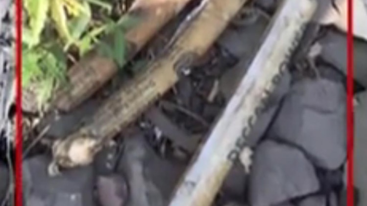 मुंबई की खबरें