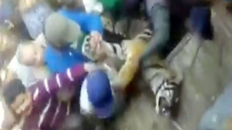 पीलीभीत के चुनावी मैदान में आदमखोर बाघ की गूंज