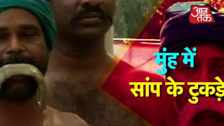 किसानों के मुंह में सांप के टुकड़े और सामने नरकंकाल