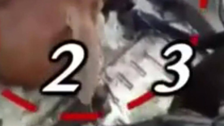 पशु तस्करी