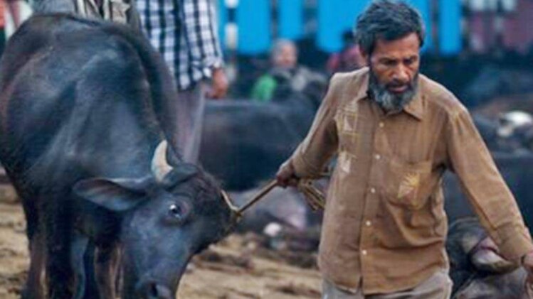 बूचड़खाना