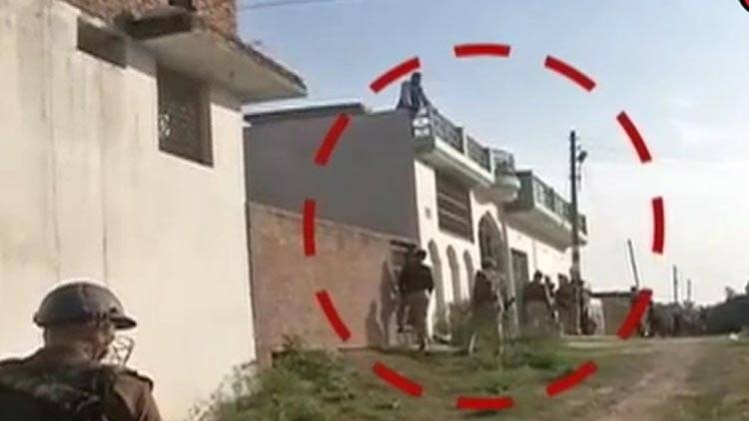 स्पेशल रिपोर्ट