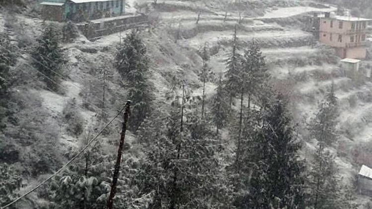 कश्मीर में हरियाली पर चढ़ी बर्फ की चादर