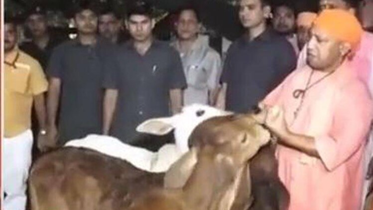 10 मिनट 50 शहर