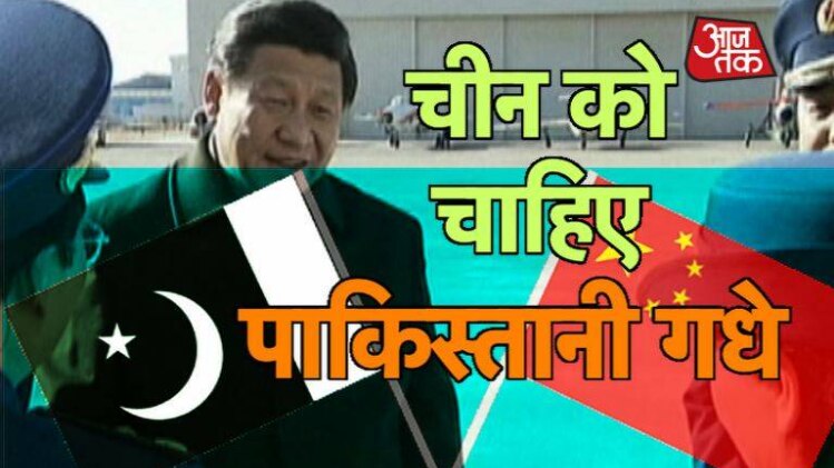 चीन को गधें निर्यात करेगा पाकिस्तान