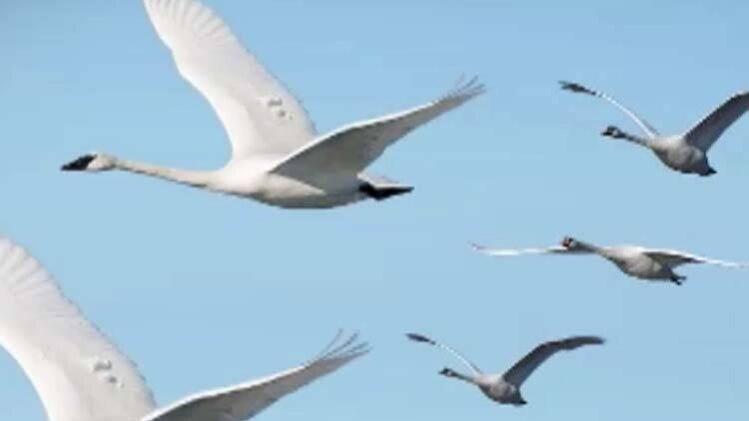 घमंडी का सिर हमेशा ऐसे होता है नीचा