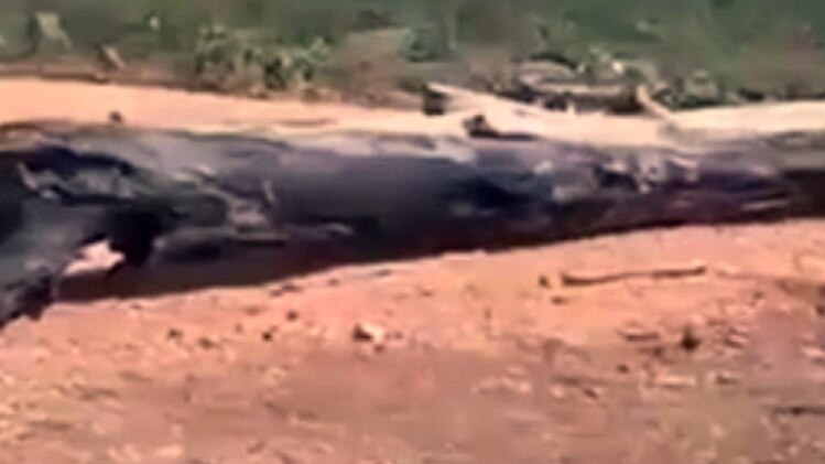 सुकमा नक्सली हमला