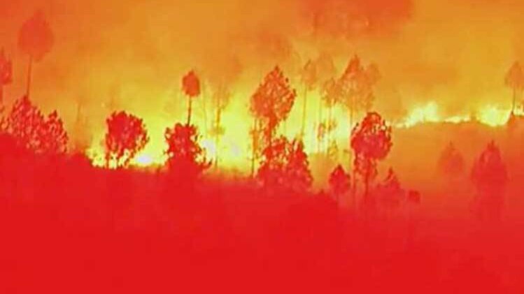 जंगल की आग