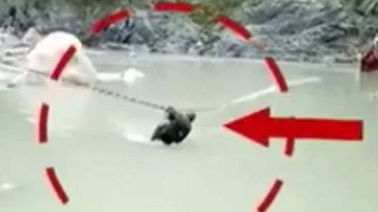 बस गहरी नदी में गिरी