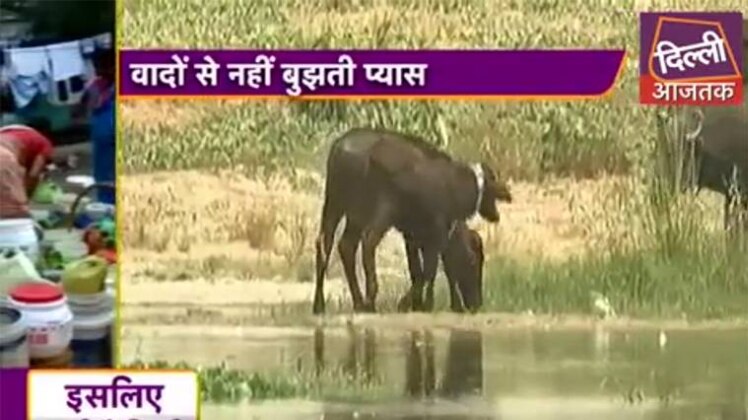 वीडियो ग्रैब