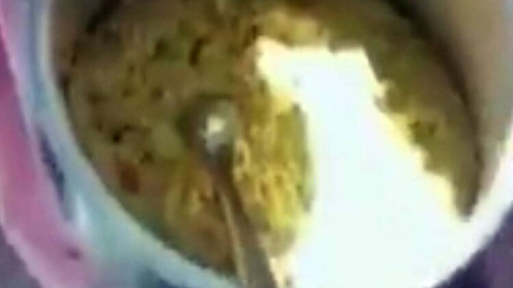 मिड डे मील में सांप