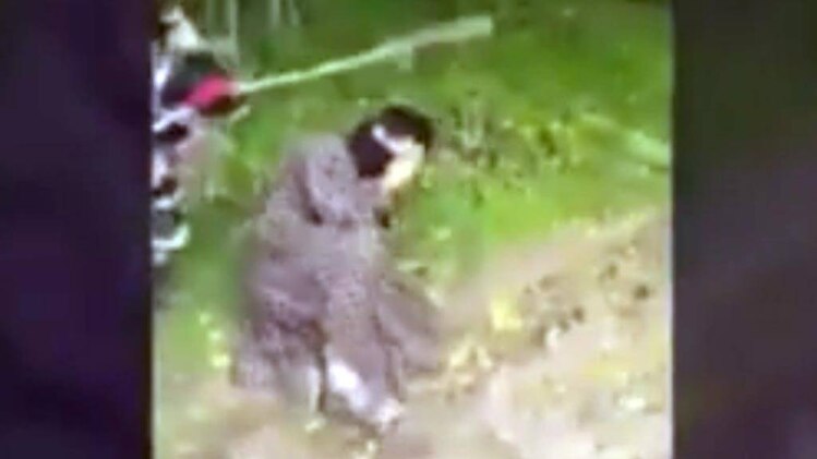 10 मिनट 50 खबरें