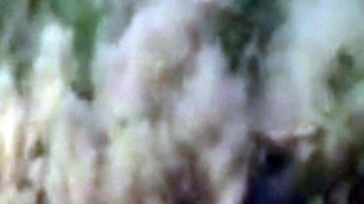 भारतीय सेना ने पाकिस्तान के बंकर तोड़े