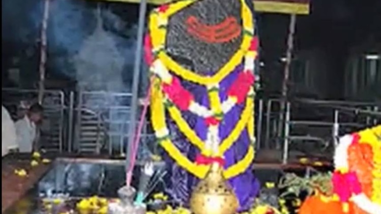 शनि का प्रकोप नष्ट करेगा पीपल