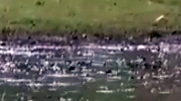 दिल्ली के कई इलाकों में बारिश