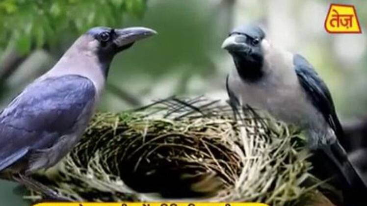 मैं भाग्य हूं