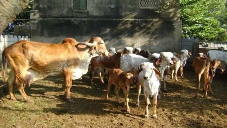 इंडिया 360