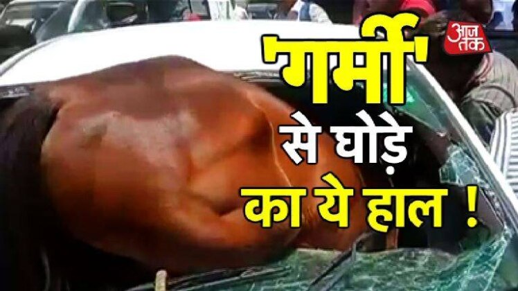 कार में जा घुसा घोड़ा