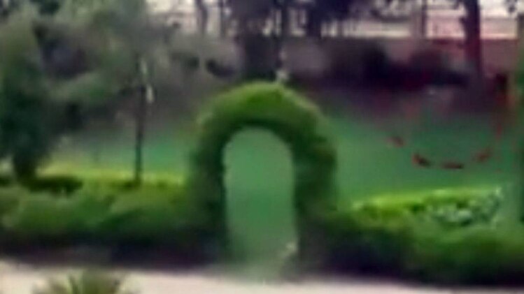 एक्साइज विभाग के दफ्तर में तेंदुए के घुसने से हड़कंप