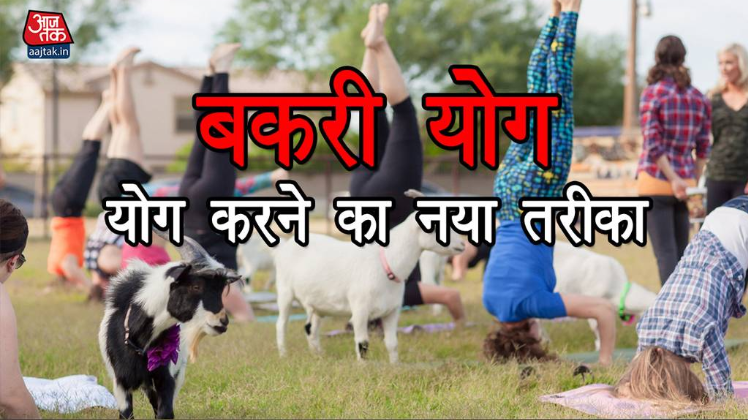 गोट योग, योग करने का एक नया तरीका