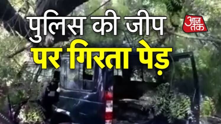 जब भारी भरकम पेड़ की चपेट में आई पुलिस जीप, देखें LIVE वीडियो...