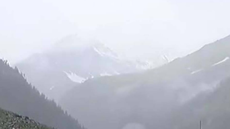 स्पेशल रिपोर्ट