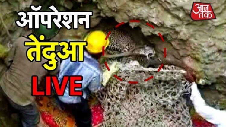 कुएं में शावक