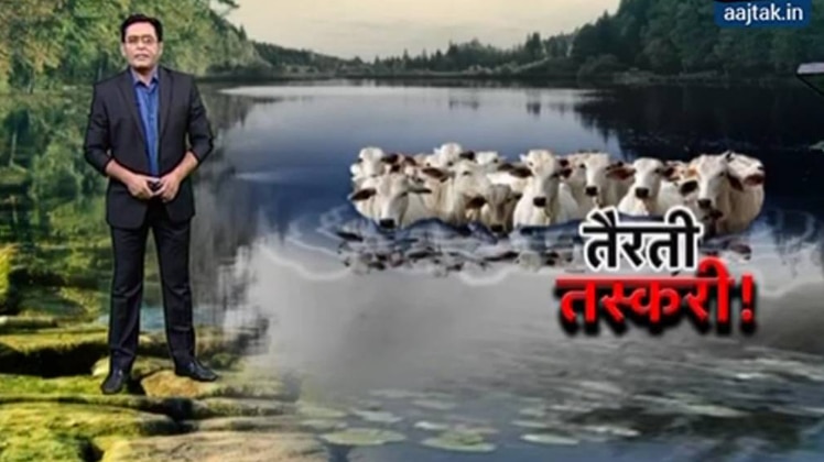 तैरती तस्करी