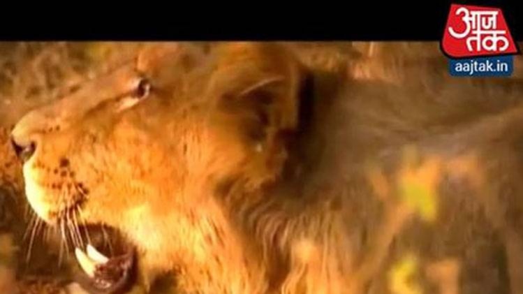 अद्भुत, अविश्वसनीय, अकल्पनीय