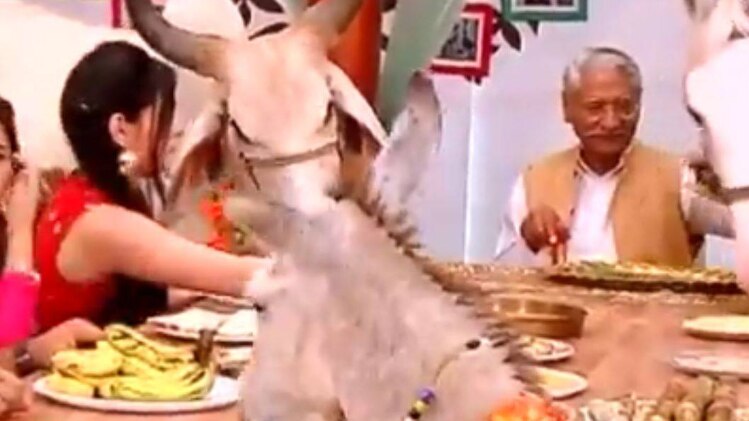 चिड़ियाघर में लगा जानवरों का मेला