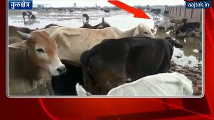 कुरुक्षेत्र की घटना