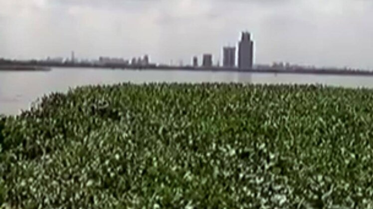 दिल्ली में डेंगू चिकनगुनिया और मलेरिया के मामलो में तेज बढ़ोतरी