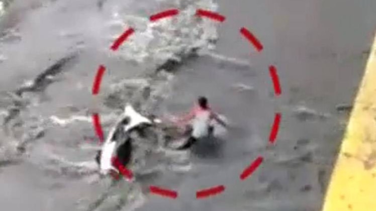 जब बाढ़ के तेज बहाव में बह गई स्कूटी