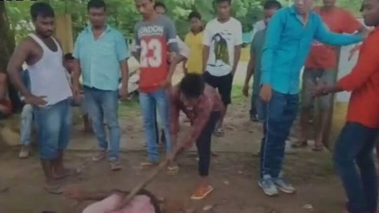 गौ रक्षकों की गुंडागर्दी