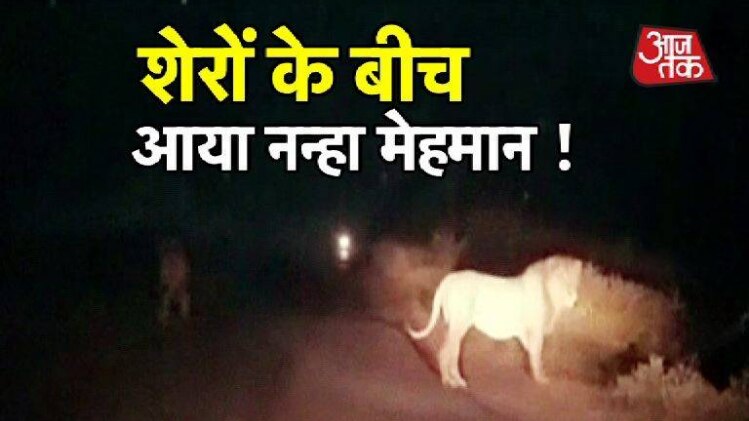 एंबुलेंस में थी गर्भवती महिला